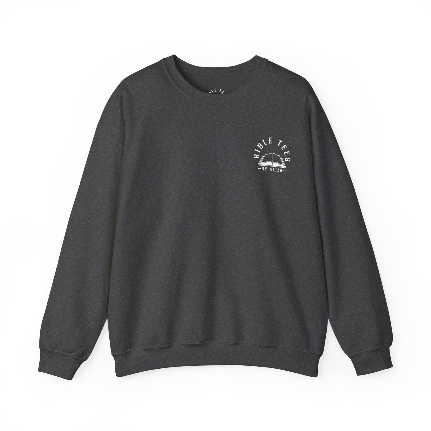 John 3:16 Sweatshirt